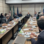 Strategic Consultative Meeting on Large-Scale Population Studies Held at the Ministry of Health’s Deputy for Research and Technology